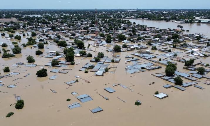 Maiduguri flood: Foundation offers free mental counseling, food, others to 1803 victims bg-danger